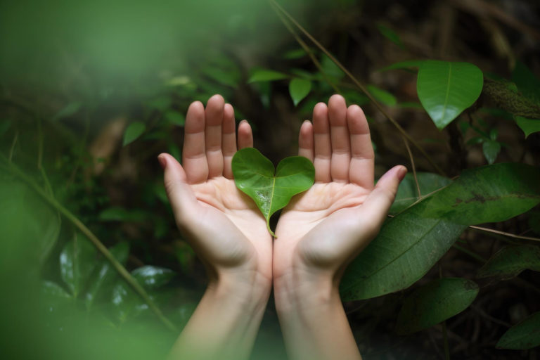 Nurturing_the_Mind_img_2