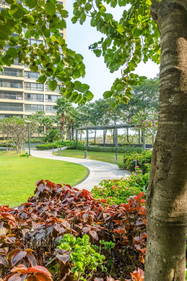 Jogging track around the central green